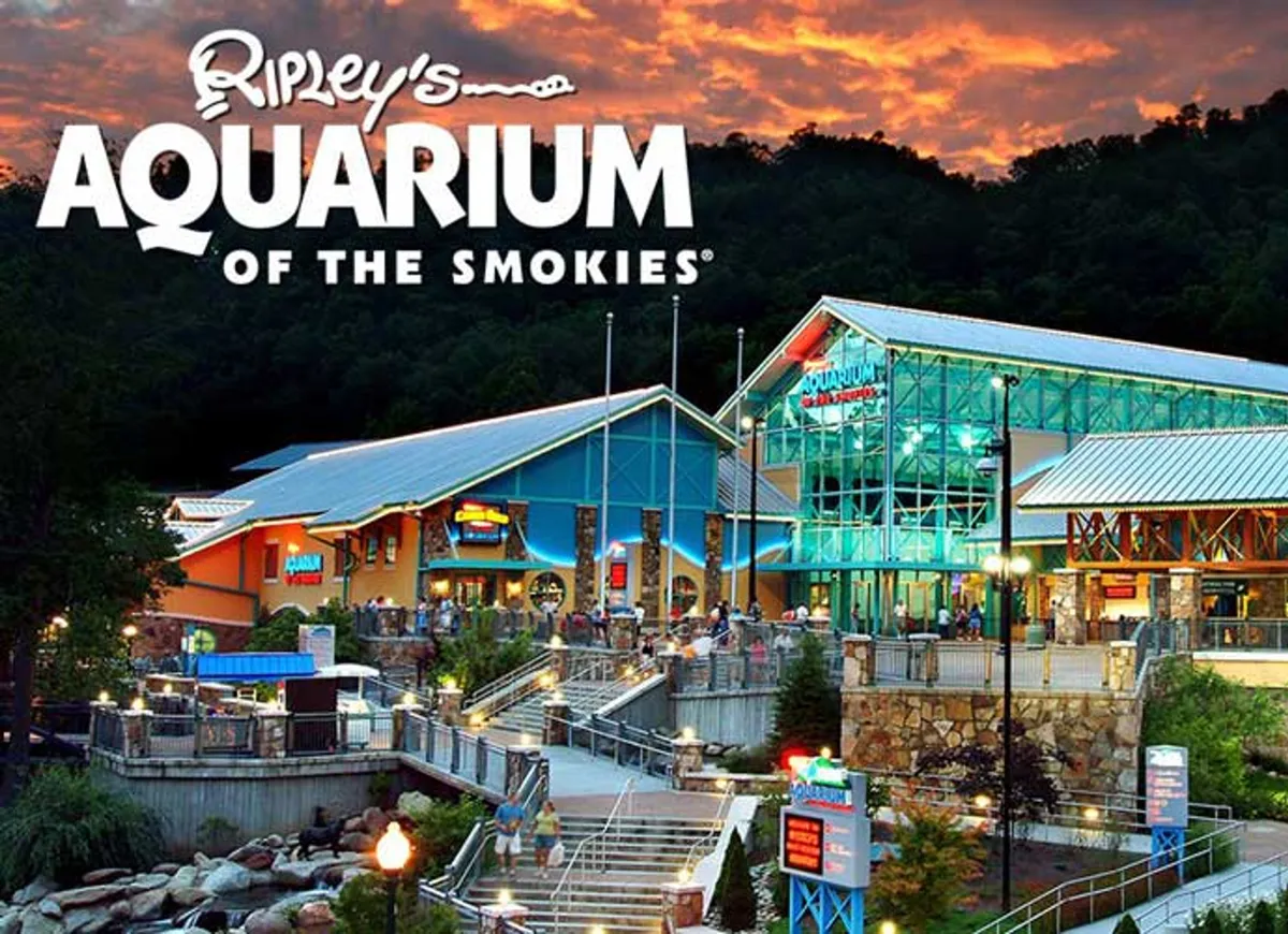 The photo shows the exterior of a modern aquarium building, with prominent signage, an inviting staircase, and outdoor seating. The overall environment is bustling and attractive, hinting at educational and fun family experiences.